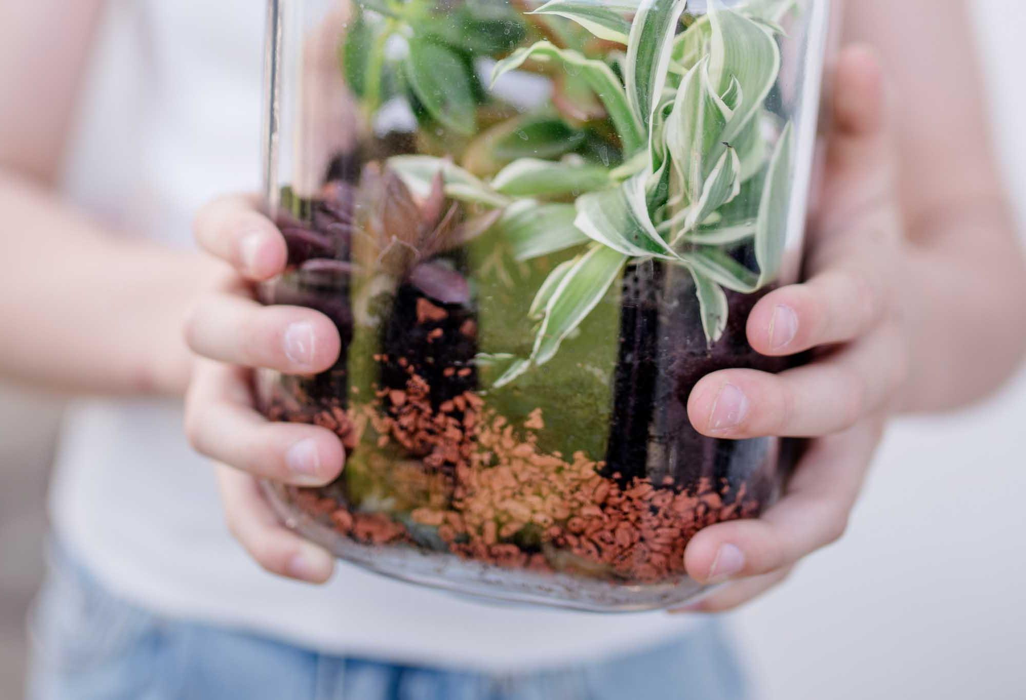 How to bottle garden:
